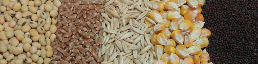 تامین ۷۰ درصد نهاده‌های دامداری‌ها از بازار آزاد